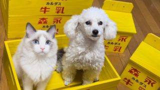 273965026_1034948650701298_154