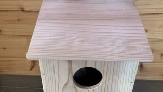 333138908_609021137334468_3550