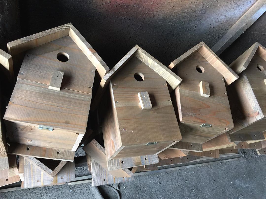 巣箱がたくさん 今 巣箱が大人気です！！✨✨】 | 木箱専門店 キバコヤ