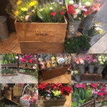 おしゃれな　お花屋さんの店舗用 フラワーディスプレイボックス！✨✨
